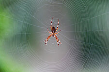 F5272A75-278F-4049-A685-E0434AA0C586.jpeg