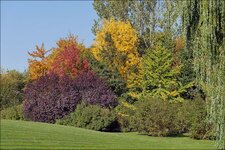 herbst_ep_marzahn.jpg