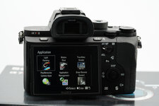 DSC00048_1000.jpg