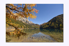 p6.jpg