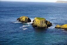 Felsen_neben_Carrick_Island.jpg