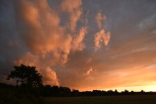DSC_1690-sm.jpg