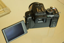 DSC02771.jpg