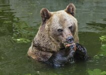 Das schmeckt lecker!.jpg