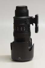 20181125-_DSC8548.JPG