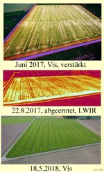 Gerstenfeld_2017_2018.jpg
