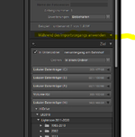 während des Imports anwenden-2.PNG