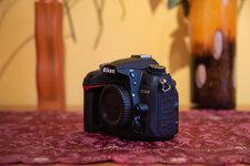 Nikon D7000-2291.jpg