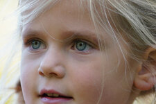 DSC03277crop.jpg