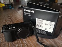gx7_004.jpg
