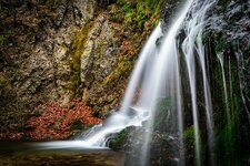 IMG_2542comp.jpg