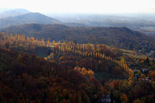 Auerbach-Herbst2.jpg