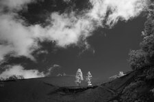 DSC02351 (Andere).JPG