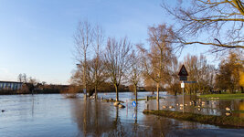 Ladenburger Neckarhochwasser_2.jpg