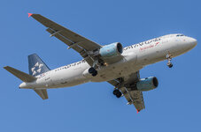 _DSC7230-1.jpg