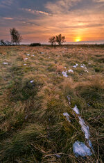 IMG_2971-4.jpg