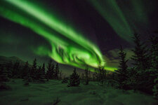 Northern_lights_1s.jpg