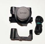 Lumix_Case_LX100.jpg