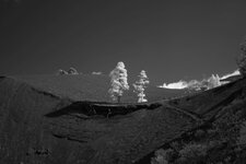 DSC02347 (Andere).JPG