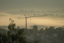 Kran im Nebel.jpg