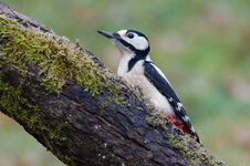 DSC_0029-DSLR-Forum.jpg DSC_0029-DSLR-Forum.jpg