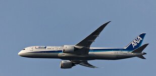 Boing787-9_Dreamliner.jpg