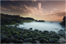 Teneriffa 2013-0169.jpg