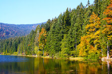 am_Arbersee.jpg