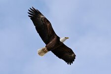 IMG_0300.jpeg IMG_0300.jpeg