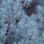 3F663AAE-B092-4BF9-B4C7-E37649E982AE.jpeg