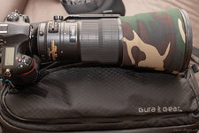 D50_8724-2.jpg