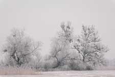 DSCF2385.jpg