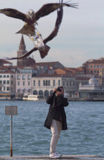 img_6420_gabelweihen.jpg img_6420_gabelweihen.jpg