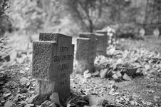 DSC_1130.jpg
