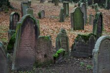 Judenfriedhof_Worms_DSC00015_DxO_jiw.jpg