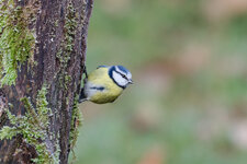 DSC_0051-DSLR-Forum.jpg DSC_0051-DSLR-Forum.jpg