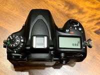 Nikon D610 -3.jpg