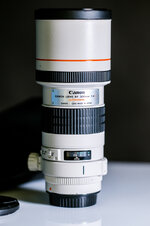 Canon 300mm-2.jpg