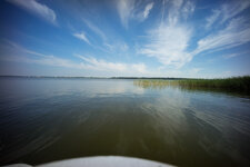 DSC01179.jpg