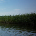 DSC01179_Rand.jpg