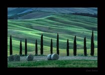 comp_Crete Senesi8.jpg