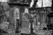 Judenfriedhof_Darmstadt_DSC00842_DxO_jiw.jpg