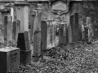 Judenfriedhof_Darmstadt_DSC00845_DxO_jiw.jpg