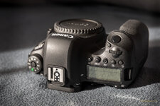 Canon 6d2-0002.jpg