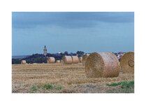 Landschaft_analog2.jpg