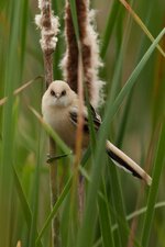 IMG_7447.jpg