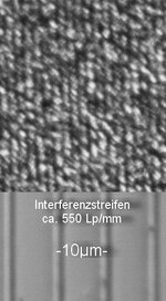 B5-ca_550Lp_mm.jpg