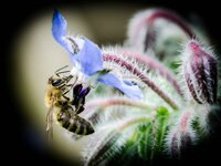 f_BMB_0474.jpg