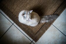 comp_DSC04113-Bearbeitet.jpg