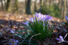 19-02-18_Nordpark_026.jpg